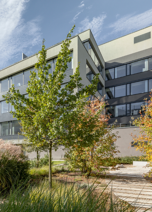 ESG image